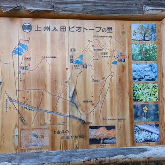 こんな看板始めてみた