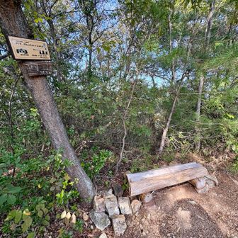 向山の山頂。ベンチで昼食。