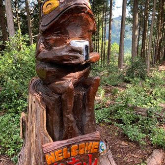 山頂のかえるくん🐸