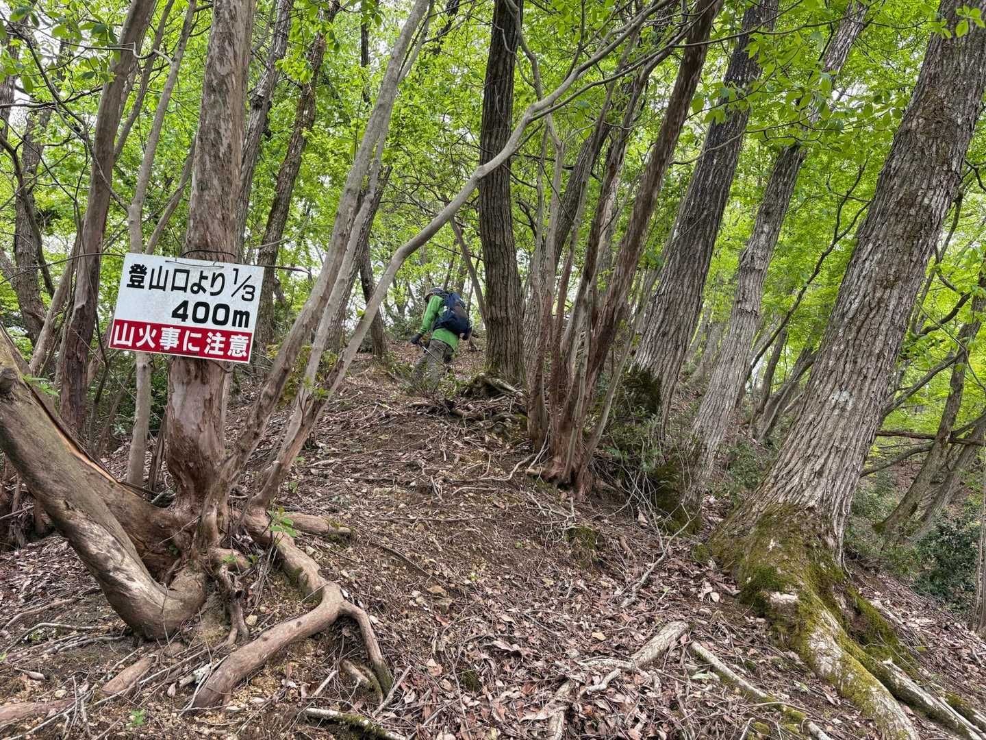 龍神山には　悲しい恋の伝説は無く…