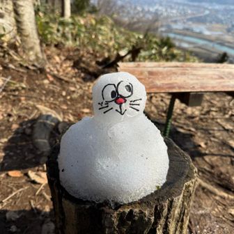 雪で出来た作り物