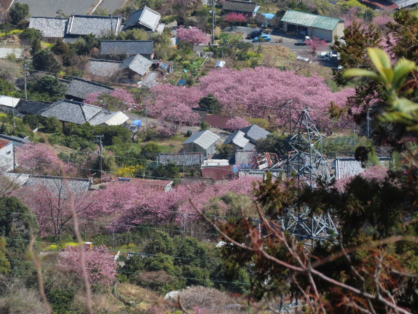 車道途中の展望場所から桑田山をズームで