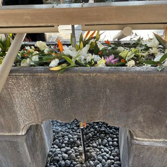 手水場は花で飾られていました。