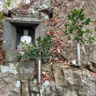 不動明王様、弘法大師様

花筒にお水を足しました。😊
