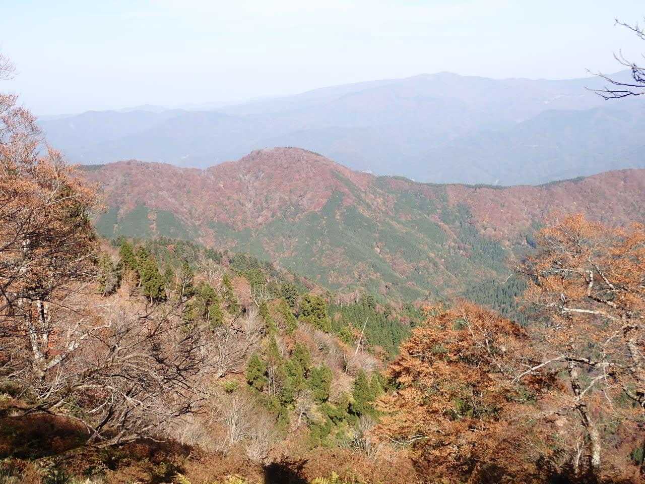 標高の低い山は　今が紅葉見頃