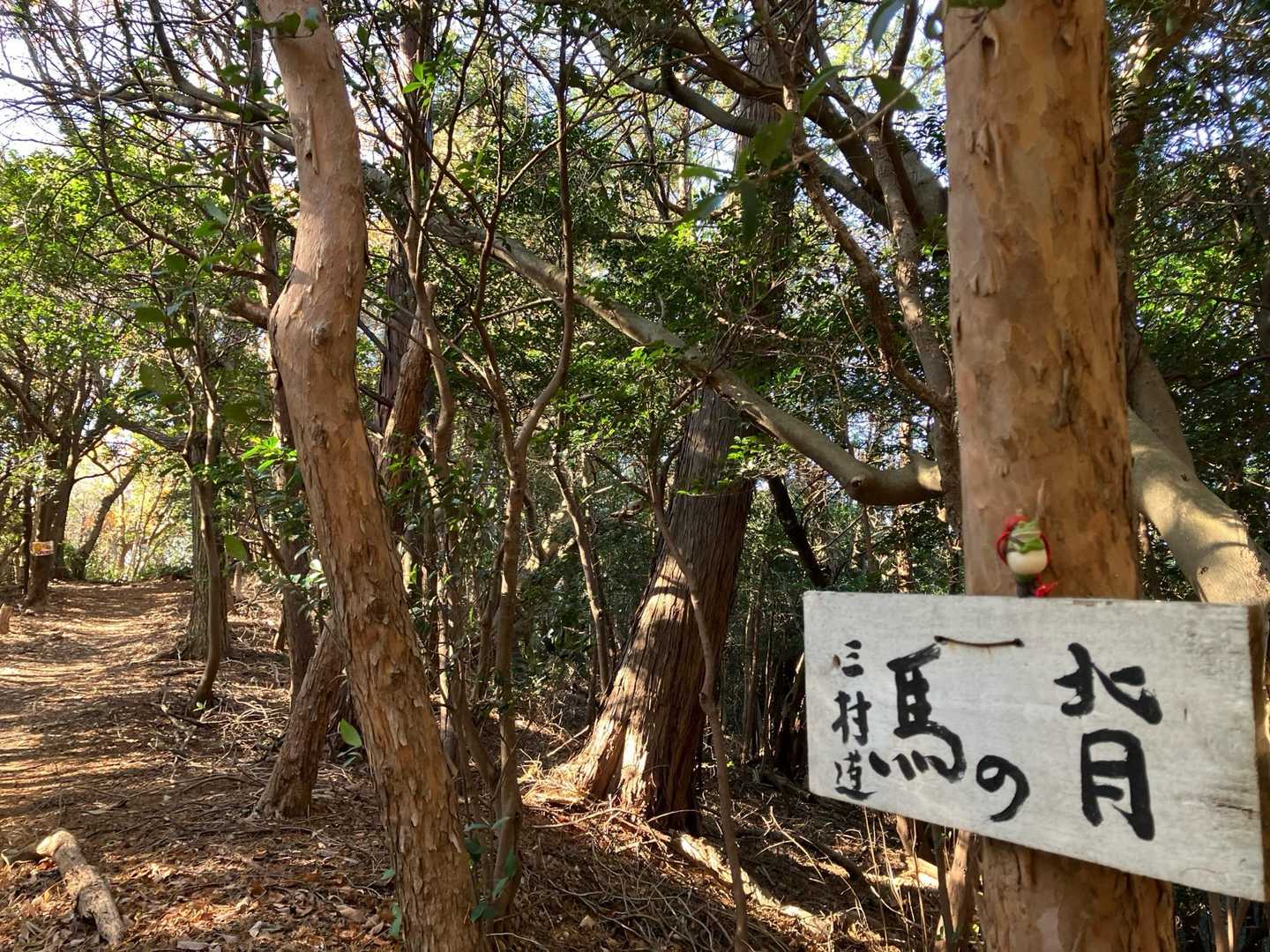 いい道〜