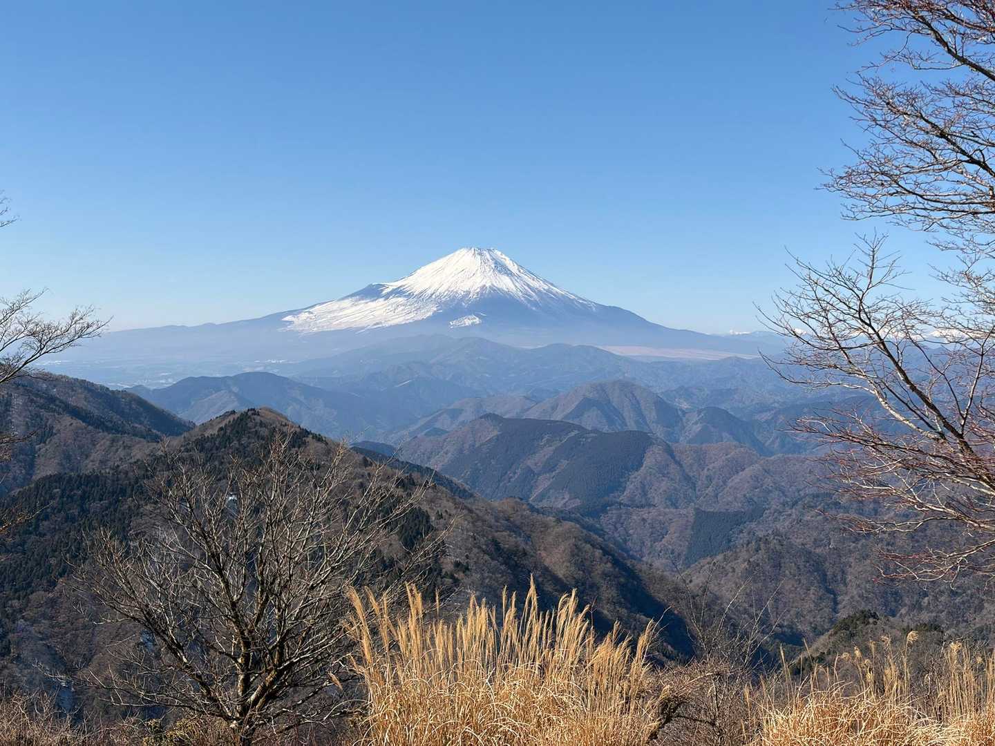 寄バス停-櫟山-栗ノ木洞-後沢乗越-鍋割山-小丸-大倉バス 縦走コースの写真