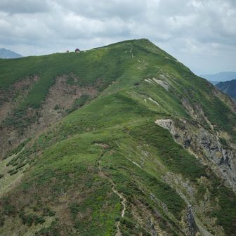 これから向かう小河内岳
※前小河内岳山頂写真は撮り忘れ