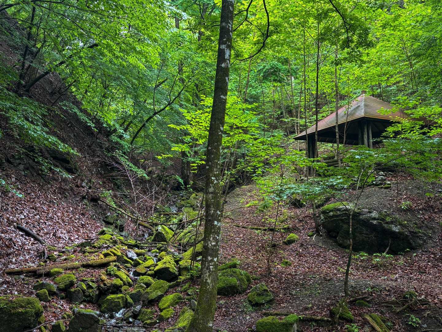 諏訪山登山口-諏訪山 周回コースの写真