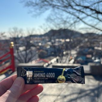 今回の山行も終わりです。
回復用のアミノ酸をチャージしました。