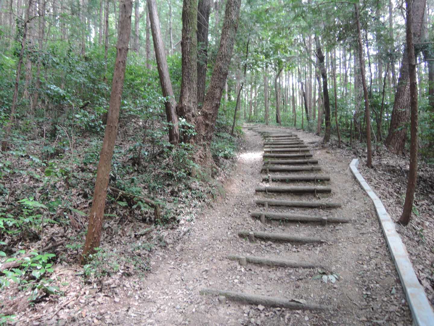 まずは木段が続く