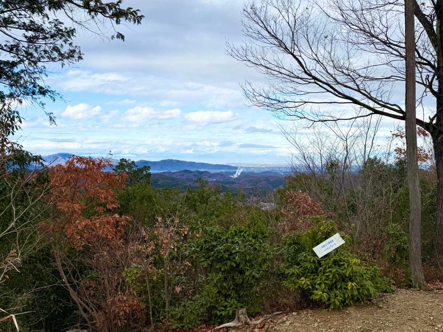東武竹沢駅-三光神社登山口-天王池-官ノ倉山-外秩父七峰縦 縦走コースの写真