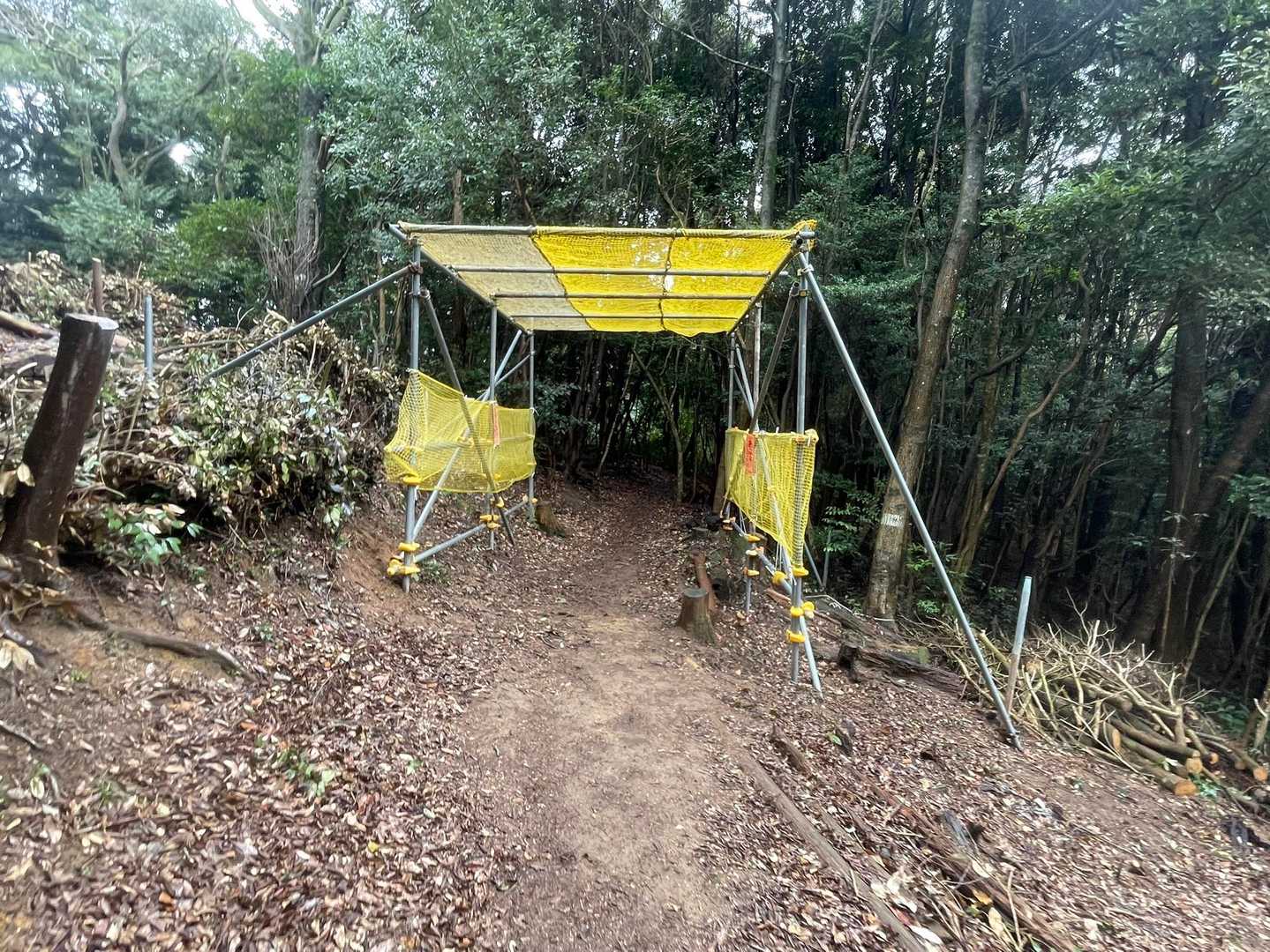 市の瀬峠-白畑山-観音越-尺岳 往復コースの写真