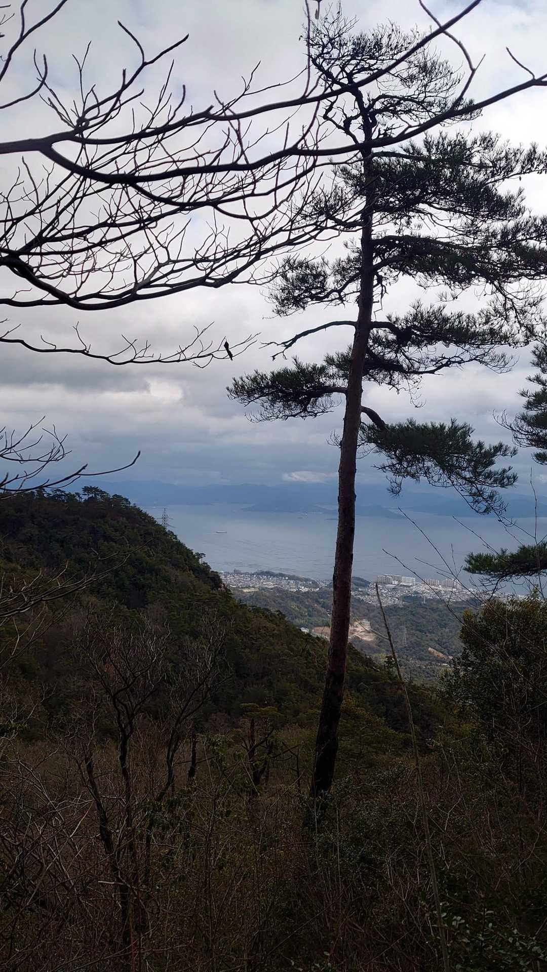 船倉山-高見山 縦走コースの写真