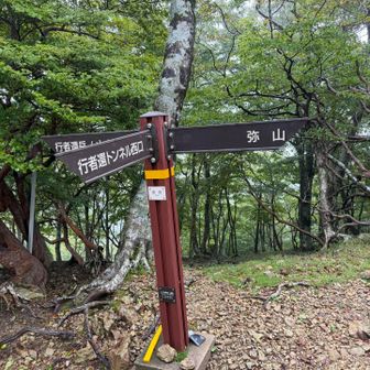 樹林帯急登がしばらく続き、尾根上の出合到着