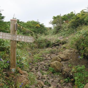 後烏帽子岳へ続く分岐は立入禁止🈲でした