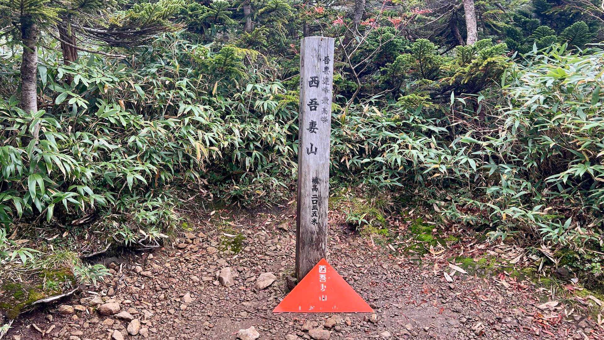 頂上に着きました👍