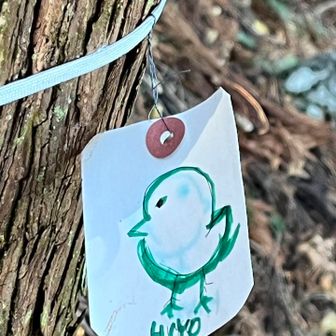 ヒヨドリの絵なのか？