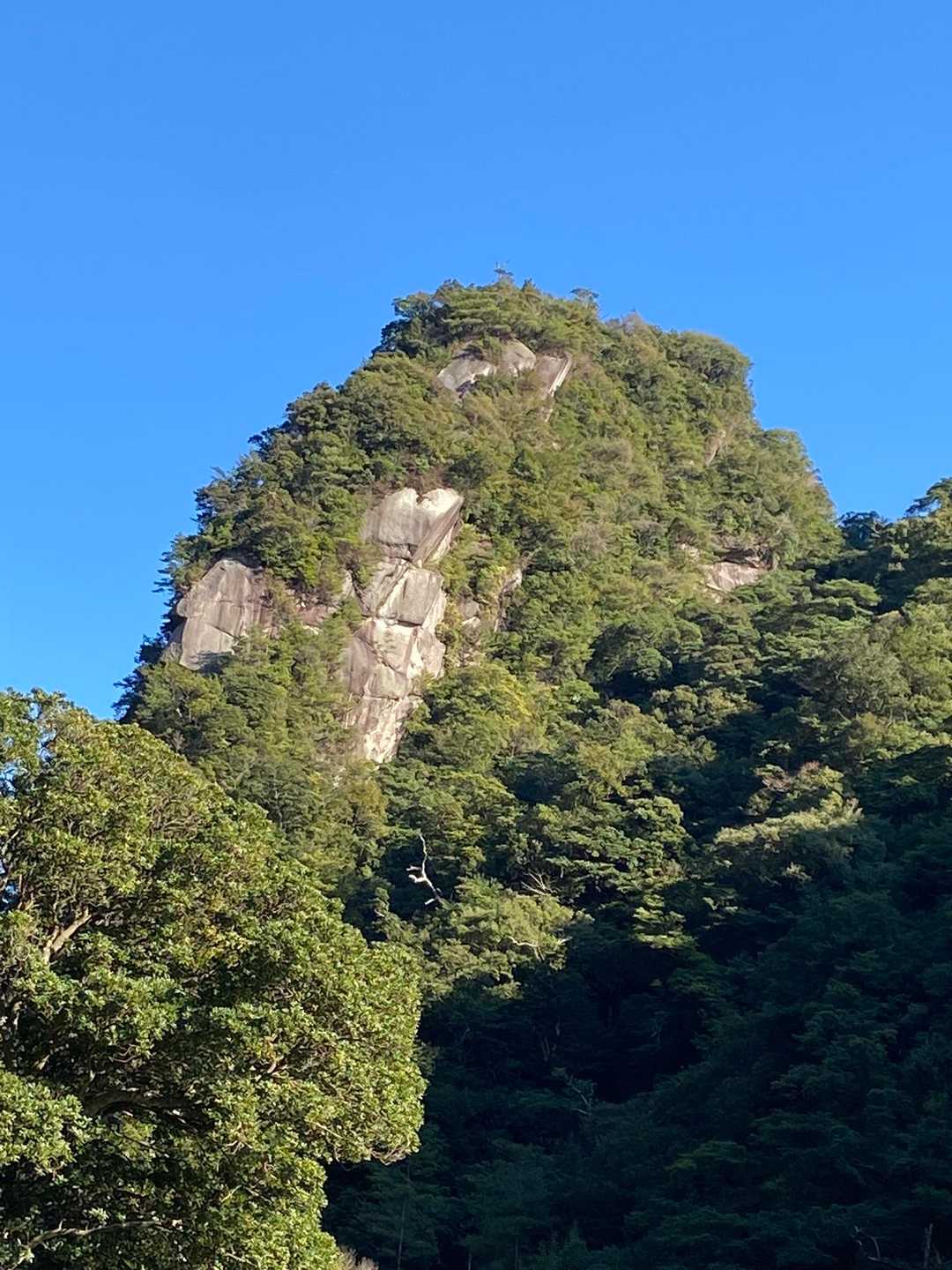 刀剣山の7峰かなぁ青空に映えるね🥰