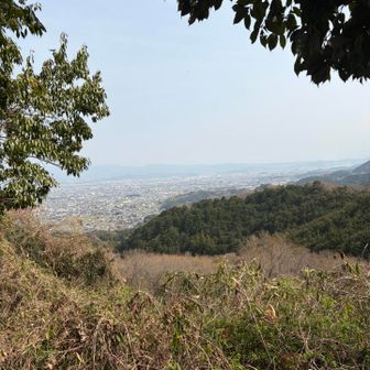 暖かい良い天気☀️