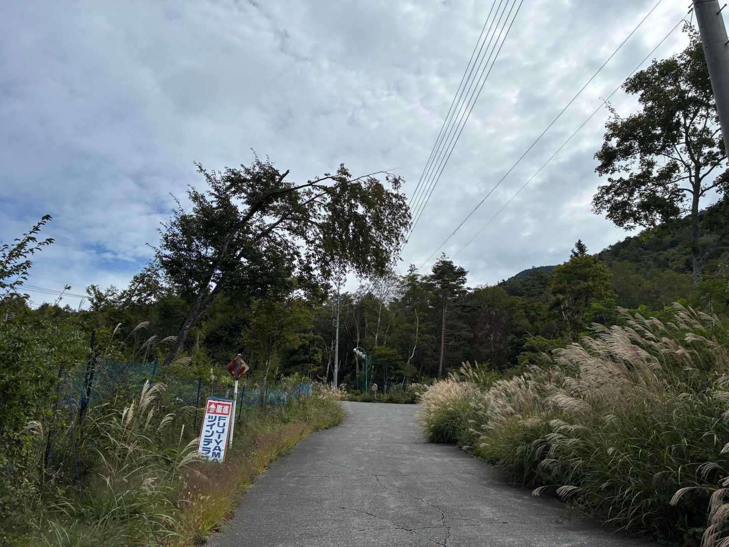ススキ🌾
秋ですねー🍂涼しかったです。
