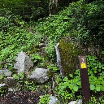 さて、行けるのか…不安しかない
クマさん出ないでね💦