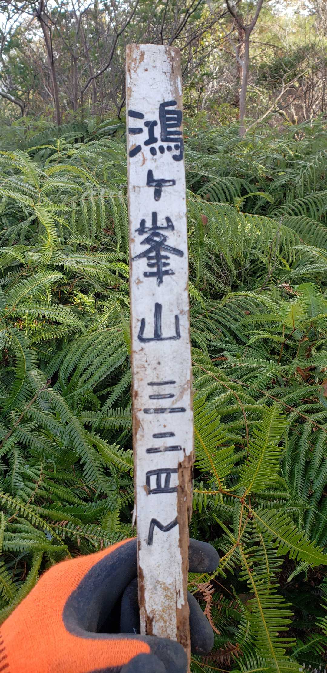 何とか標識？を見つけました