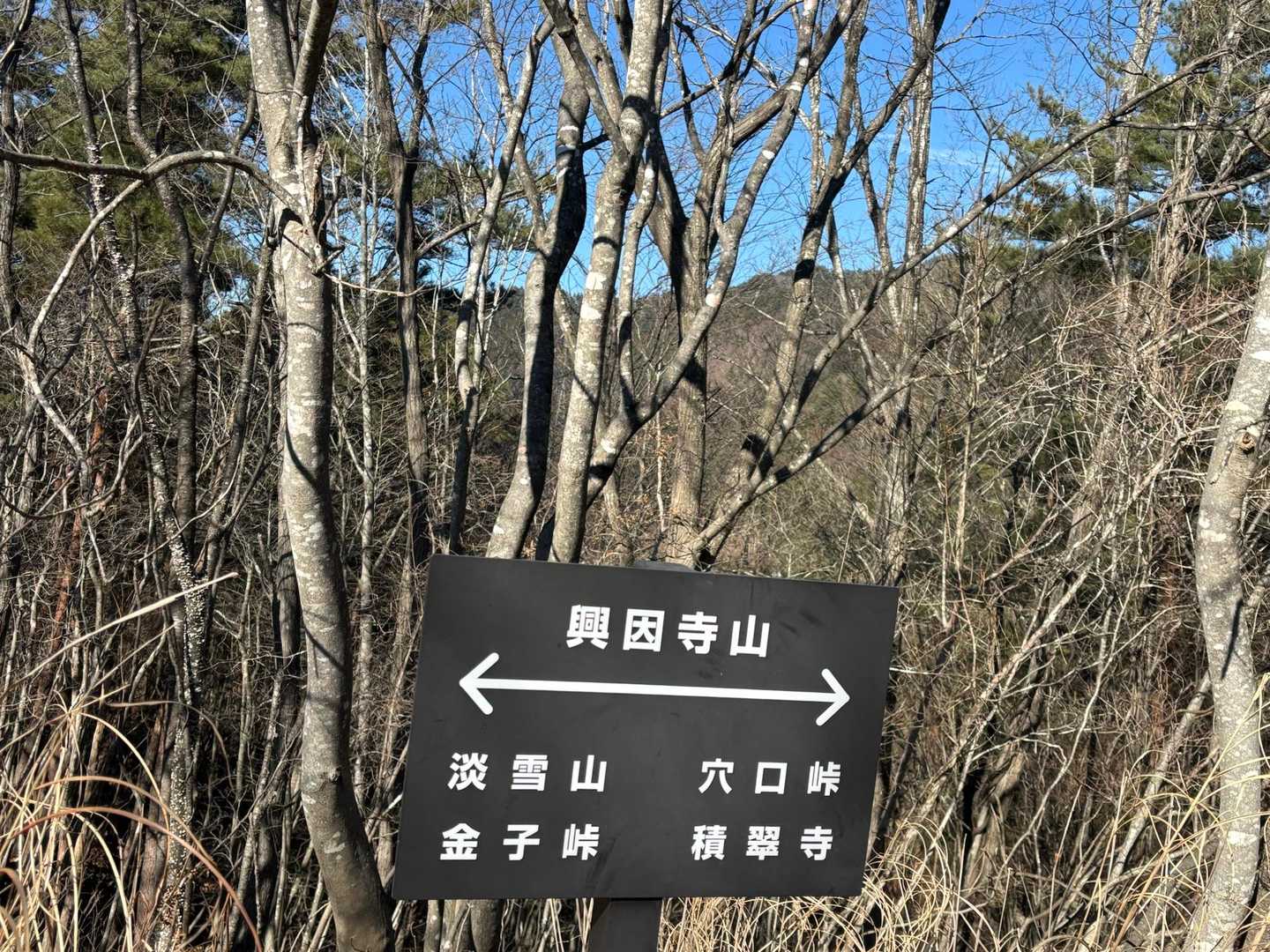 興因寺山到着