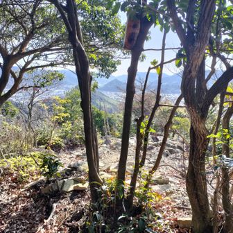 3座目：氷上山登頂🙌