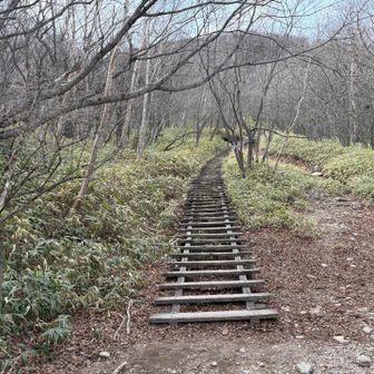 ついでに地蔵岳も寄っていきます。足よ、動いてくれ～～（泣