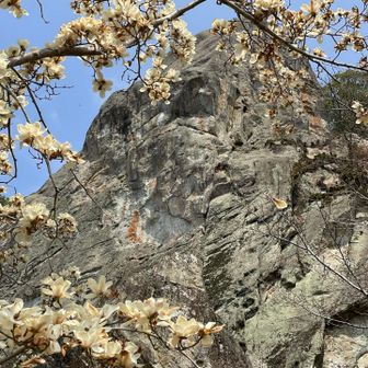 磨崖仏の右上に木製の扉があり、ここは大悲窟奥の院といい、６２年に一度ご開帳が行われるという。しかし、２０１５年に１３６年ぶりにご開帳されたというから、多分私が生きてる間に開かれることはなさそうだ。
一体何がしまってあるんだろ？