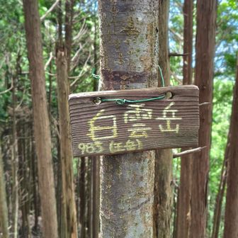 白雲岳に到着、2度目です！
麓からの登頂、感慨深いです✌