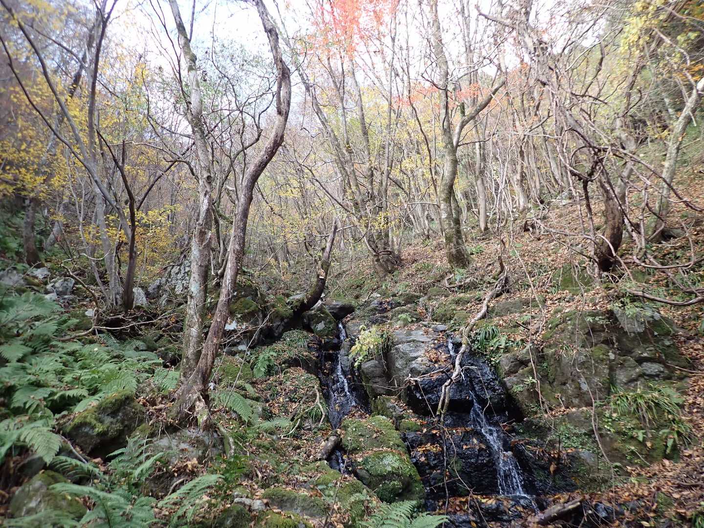 下山の天の川コース。

