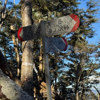 この分岐見落として、黒岳近くまで行ってしまった