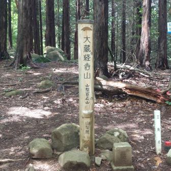 あっという間に到着！
「だいぞうきょうじやま」と読みます