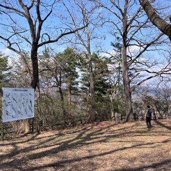 広くなっています