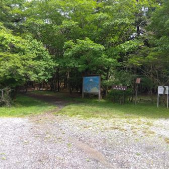 登山道入り口。