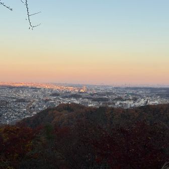 この後、1号路を下って極楽湯入って帰りました。