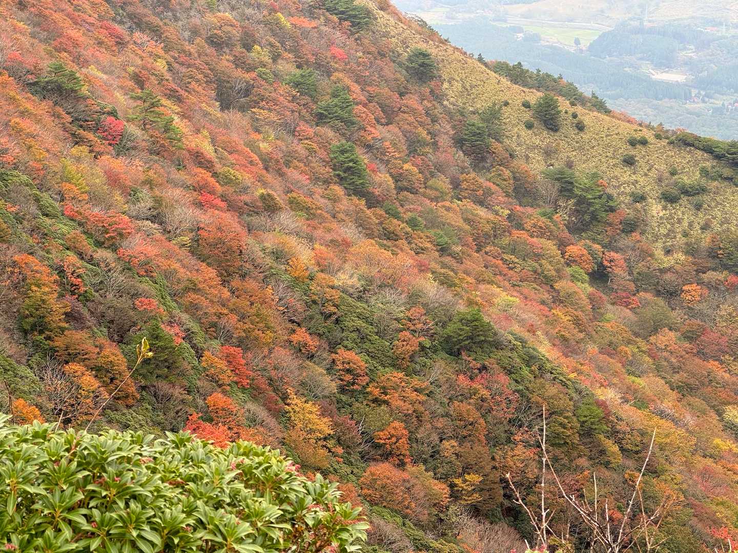 涌蓋山 往復コース（ひぜん湯）の写真