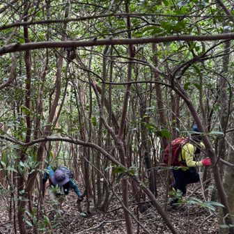 力強く木々を掴みながら登る山友さん
パワフルです。尊敬🫡
