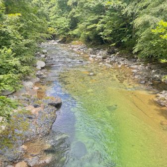 さすがに2000m程ドSな急傾斜を下されて脚がパンパンになった。
橋から美しい東俣川を見て少しだけ癒される。