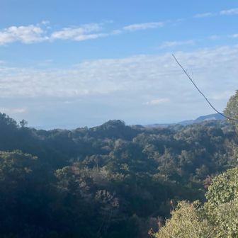 白い壁のテラスにつきました♬
かすかに東京湾🏖️が見えます✨