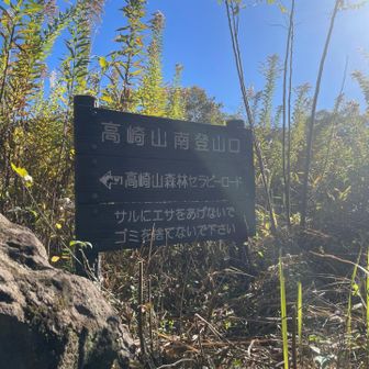 銭瓶峠の駐車場🅿️はいっぱいだったので..
路駐して登山開始🚶‍♀️
