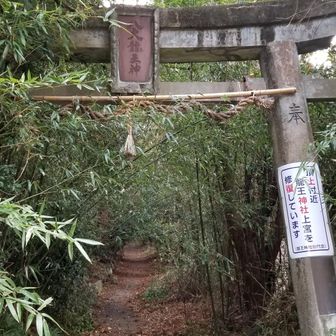 竜王山への入口。山の中には龍王神社の中宮・上宮が祀られており、単なる山ではなく神域にお邪魔する気持ちで鳥居をくぐります。