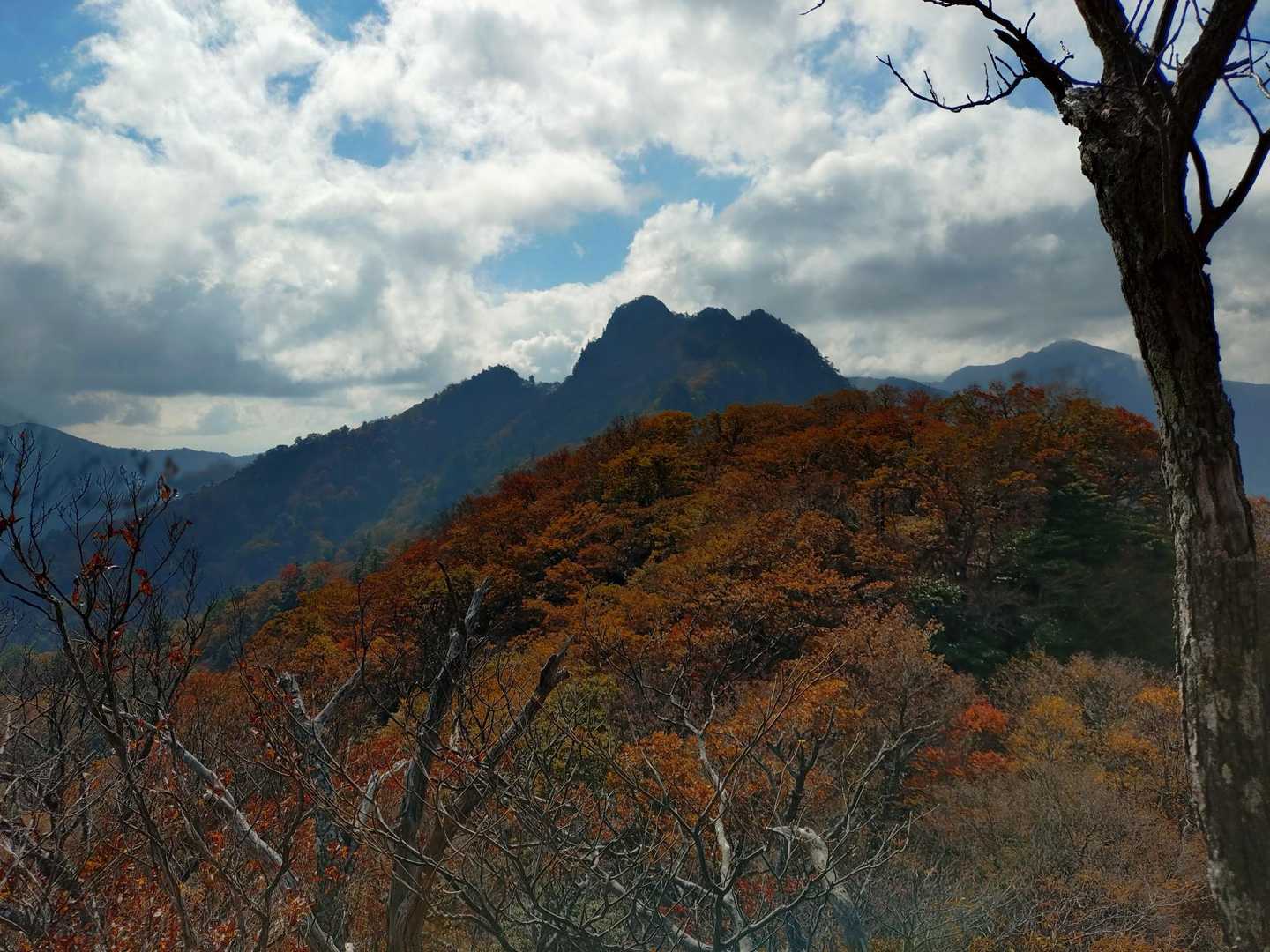 大障子岩かっこいい