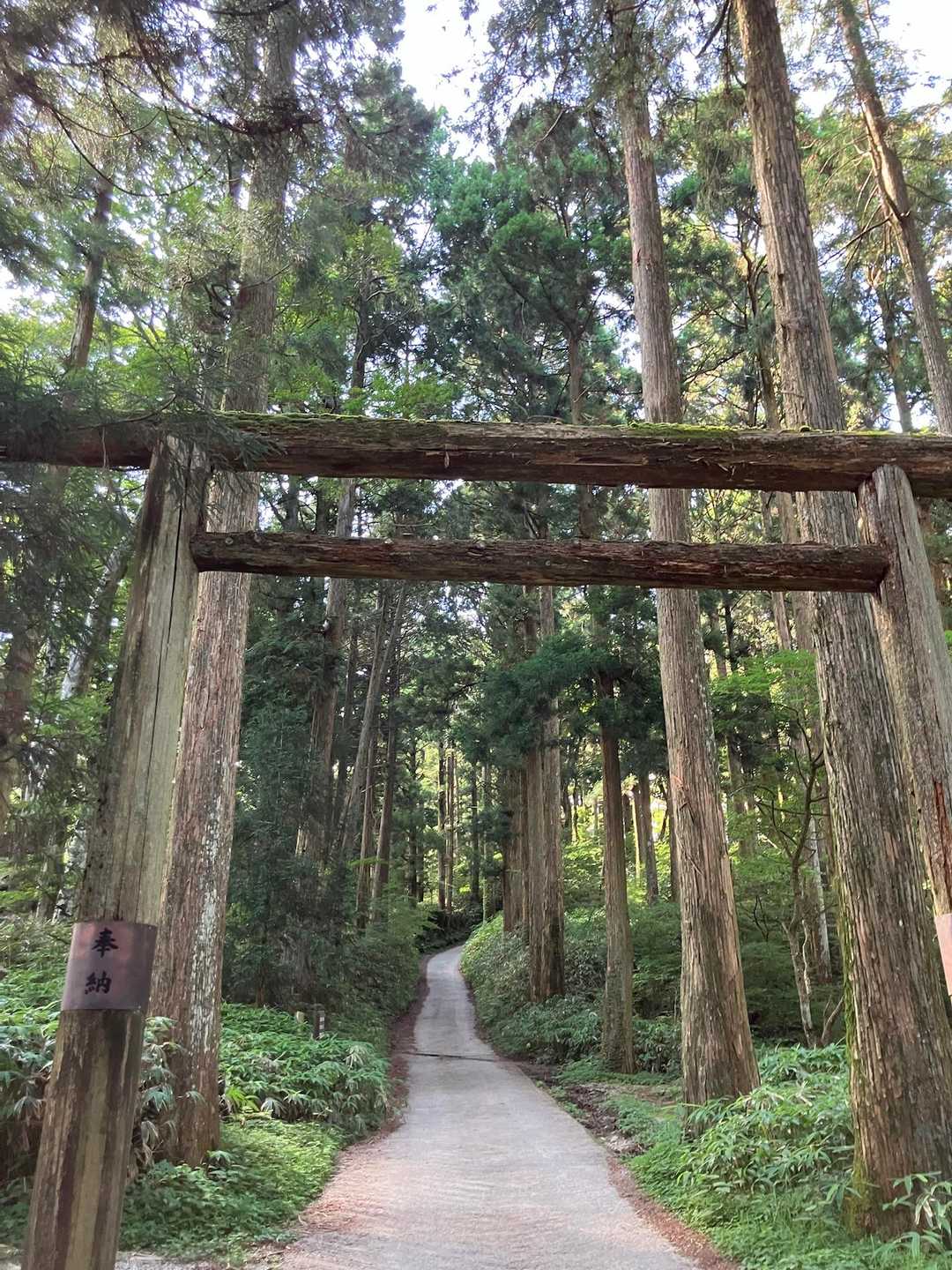 キャンプ場からは　1人で山頂まで