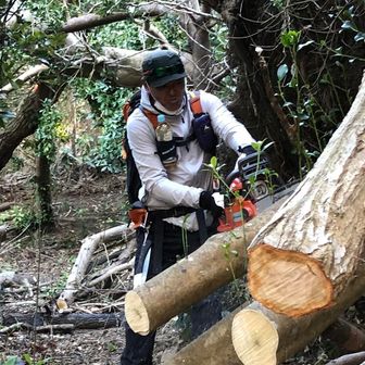 房総の山がすき