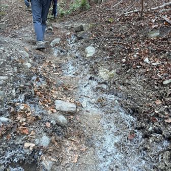 霜柱が凄い
長さが5センチ以上はある😳