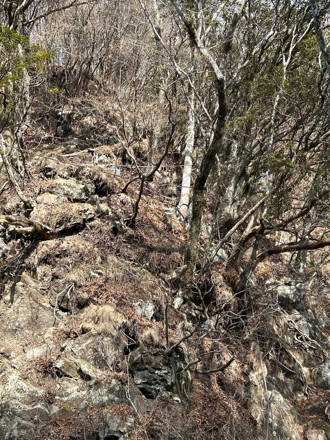 第二真富士山のロープ場　断念しました😢