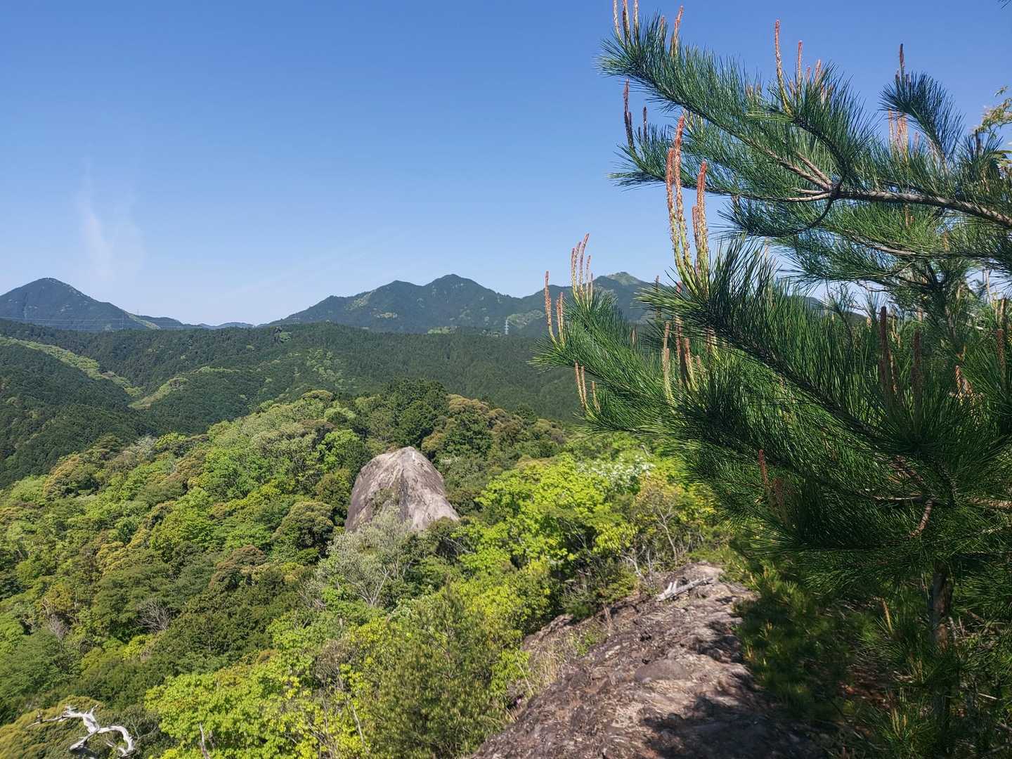 伊勢山上行場入口-大天井 周回コースの写真